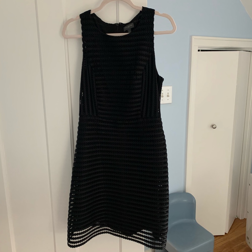 The Limited Black crochet Fit and Flare Dress 4